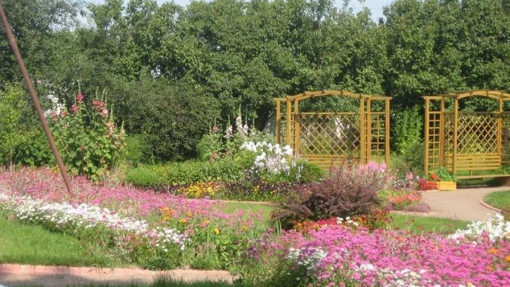 Островский психоневрологический дом интернат для престарелых